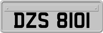 DZS8101