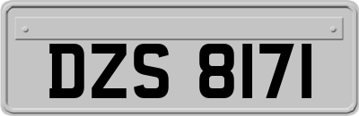 DZS8171