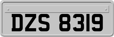 DZS8319