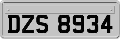 DZS8934