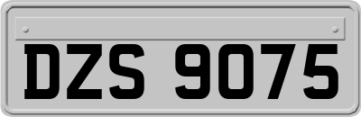 DZS9075