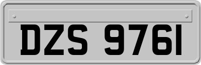 DZS9761