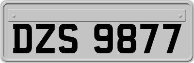 DZS9877