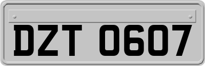 DZT0607
