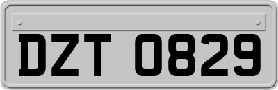 DZT0829