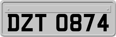 DZT0874