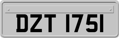 DZT1751