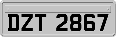 DZT2867