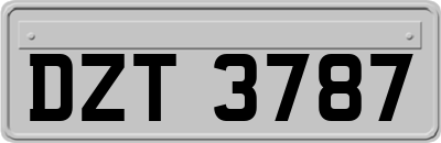 DZT3787
