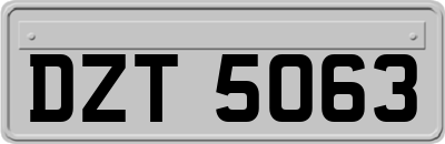 DZT5063