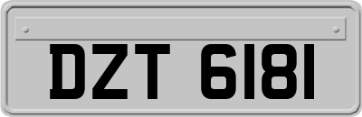 DZT6181