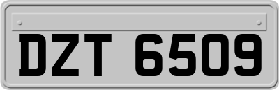 DZT6509