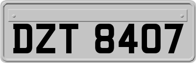 DZT8407