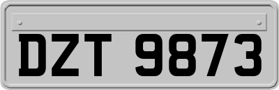 DZT9873