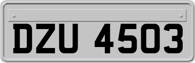DZU4503