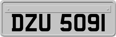 DZU5091