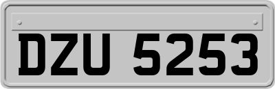 DZU5253