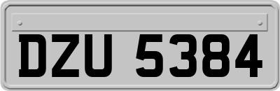 DZU5384