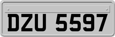 DZU5597