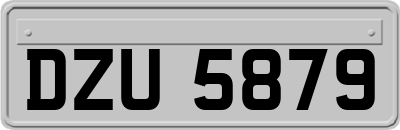 DZU5879