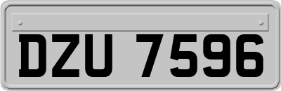 DZU7596