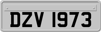 DZV1973