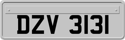 DZV3131