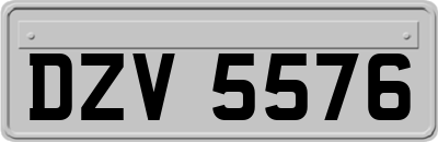 DZV5576