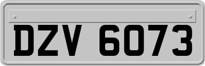 DZV6073