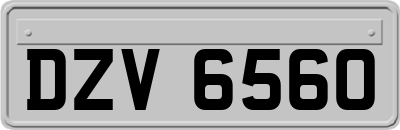 DZV6560