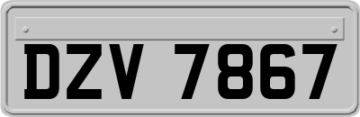 DZV7867