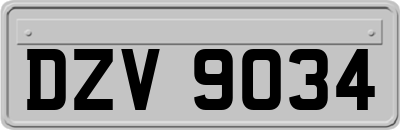 DZV9034
