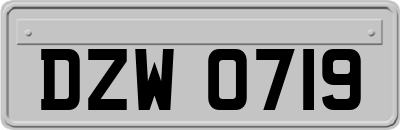 DZW0719