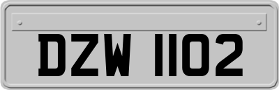 DZW1102