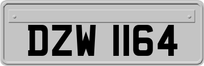 DZW1164