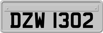 DZW1302