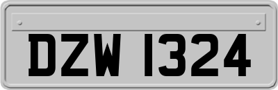 DZW1324