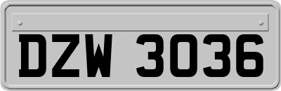 DZW3036