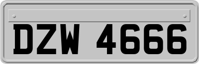 DZW4666