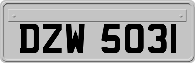 DZW5031