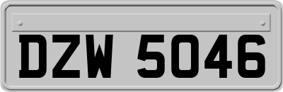DZW5046
