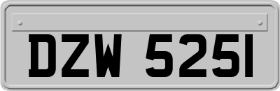 DZW5251