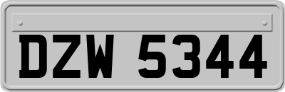 DZW5344