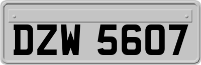 DZW5607