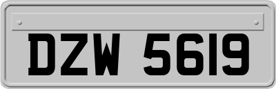 DZW5619