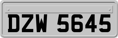 DZW5645