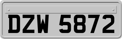 DZW5872