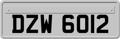 DZW6012