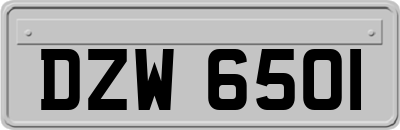 DZW6501