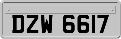 DZW6617
